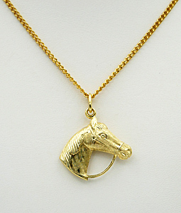 Gouden ketting  hanger Paardenhoofd